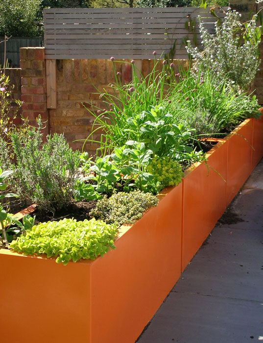 Orange planters with herbs